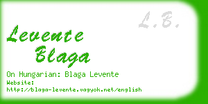 levente blaga business card